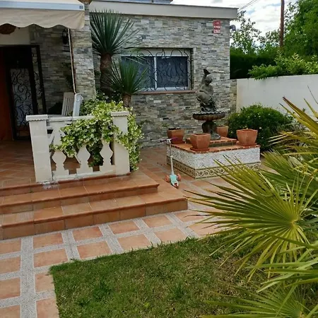 Palmeras Vinarós