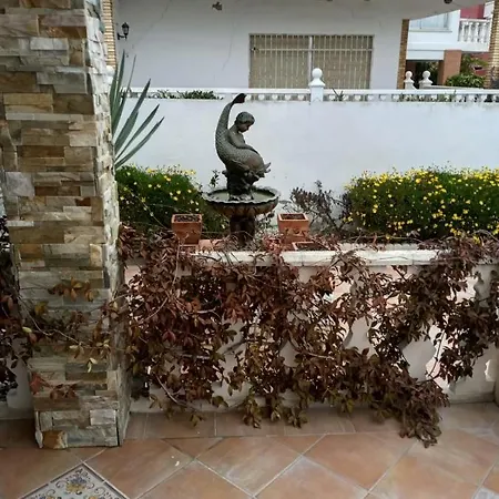 Palmeras *