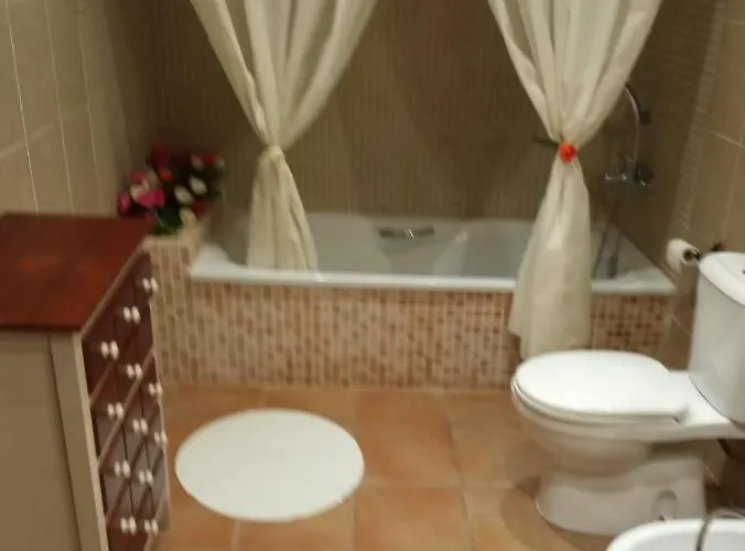 Palmeras Vinarós