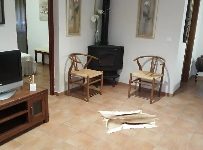 Palmeras Vinarós