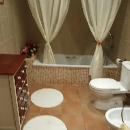 Palmeras Vinarós