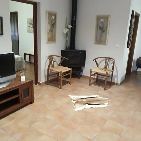 Palmeras Vinarós